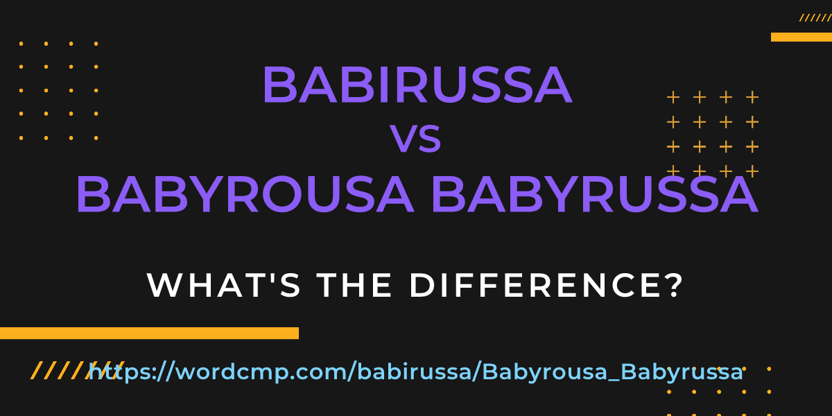 Difference between babirussa and Babyrousa Babyrussa