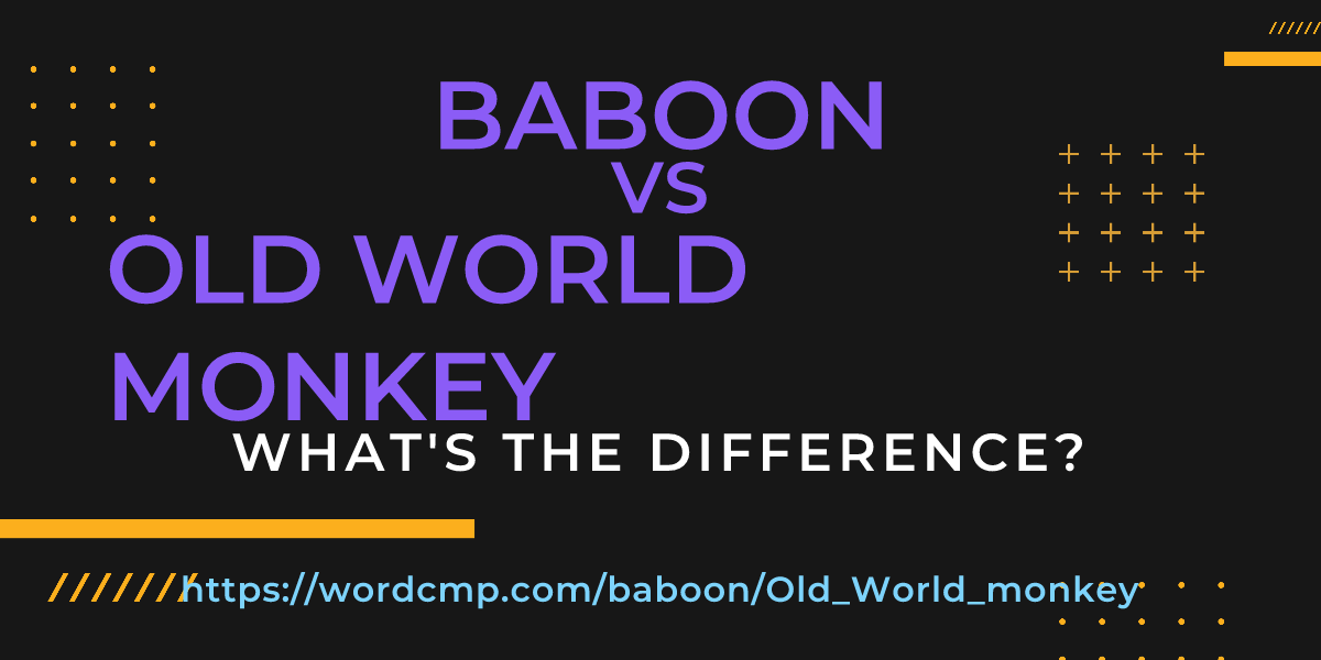 Difference between baboon and Old World monkey