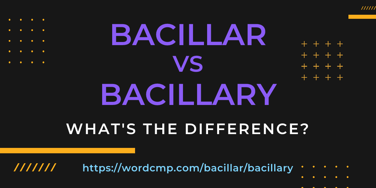 Difference between bacillar and bacillary