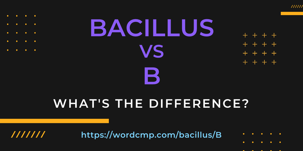 Difference between bacillus and B
