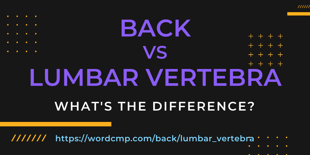 Difference between back and lumbar vertebra