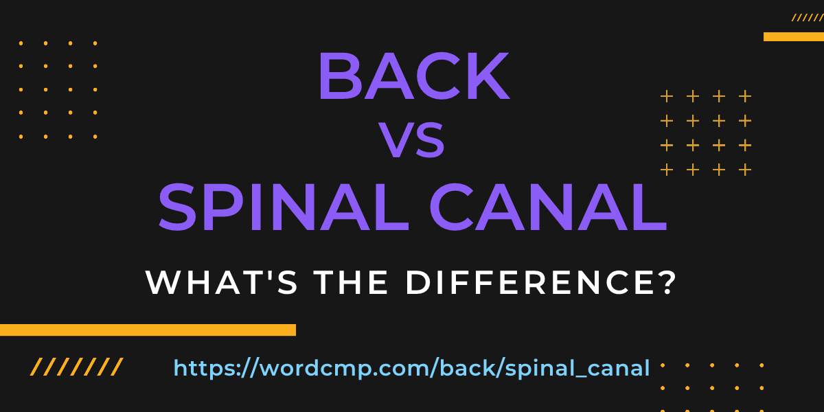 Difference between back and spinal canal
