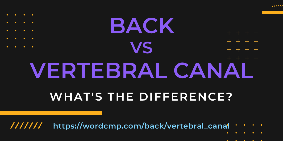 Difference between back and vertebral canal