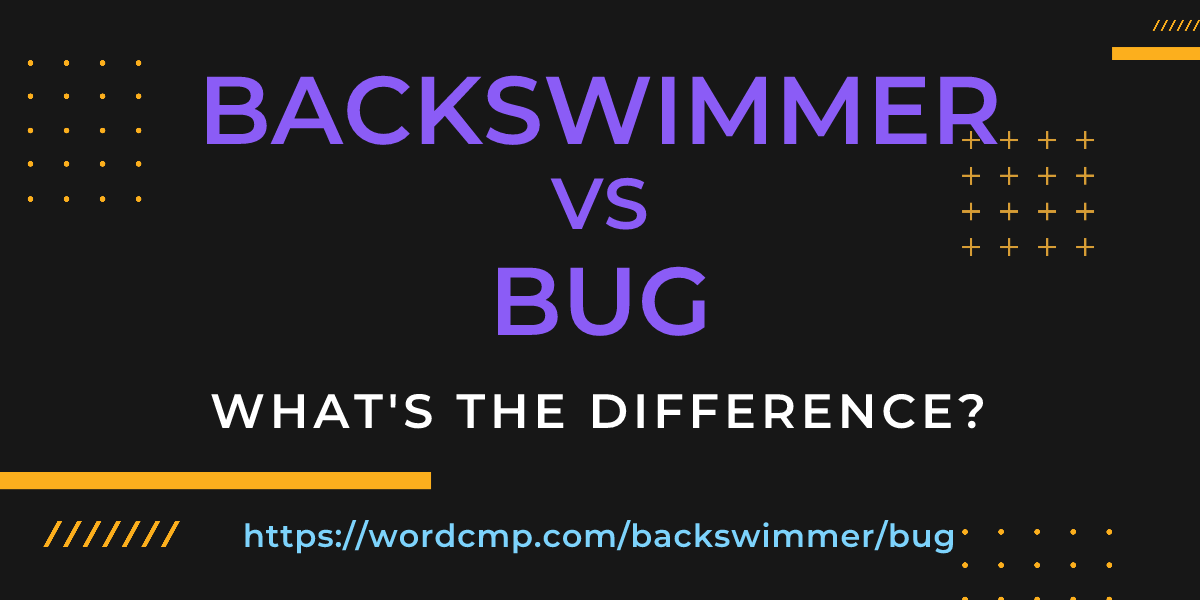 Difference between backswimmer and bug