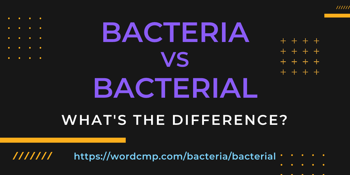 Difference between bacteria and bacterial
