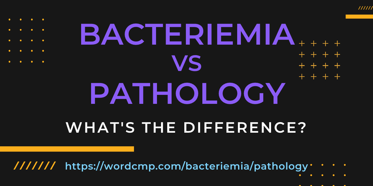 Difference between bacteriemia and pathology