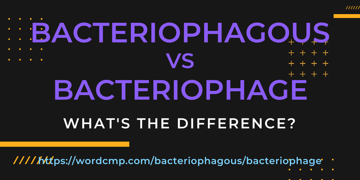 Difference between bacteriophagous and bacteriophage