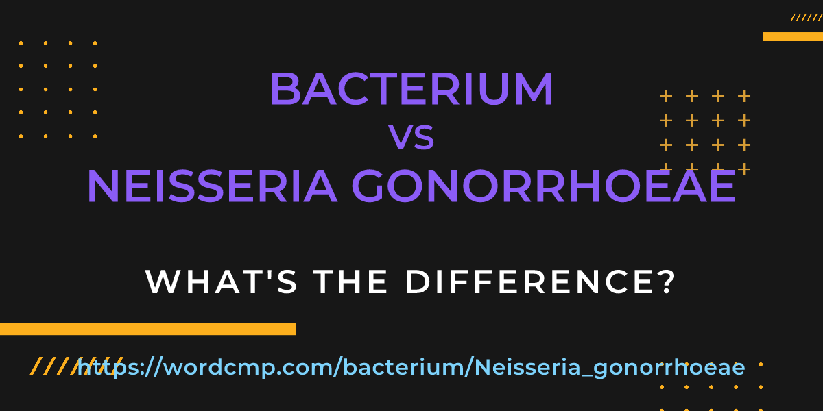 Difference between bacterium and Neisseria gonorrhoeae