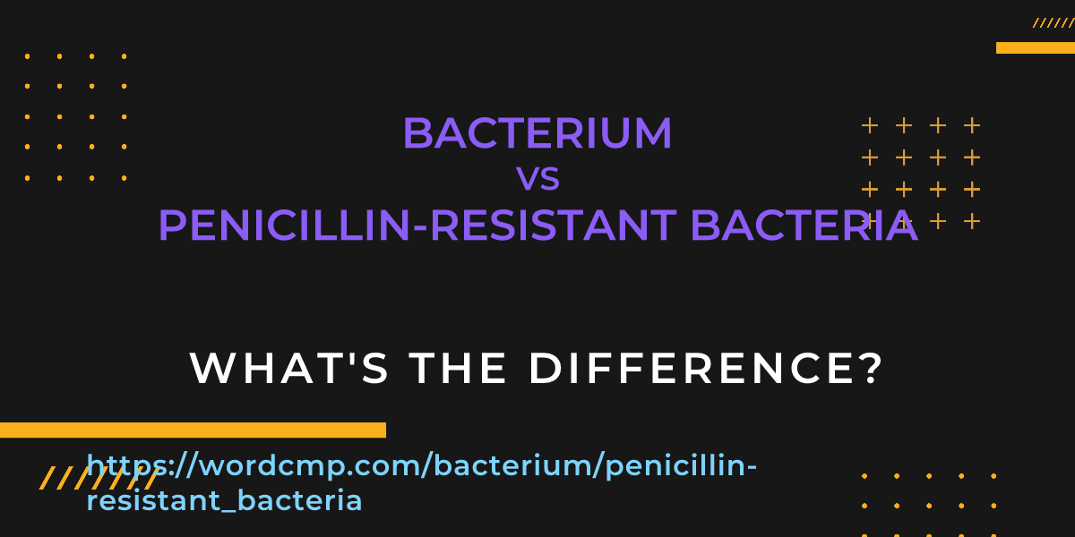 Difference between bacterium and penicillin-resistant bacteria