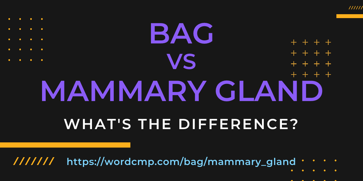 Difference between bag and mammary gland