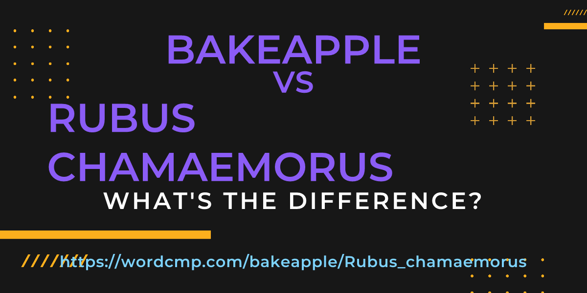 Difference between bakeapple and Rubus chamaemorus
