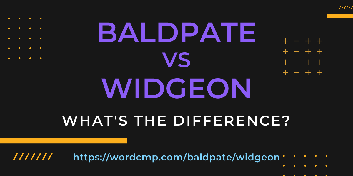 Difference between baldpate and widgeon