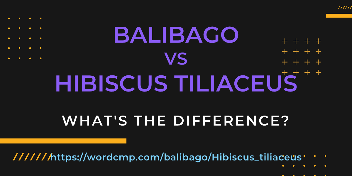 Difference between balibago and Hibiscus tiliaceus