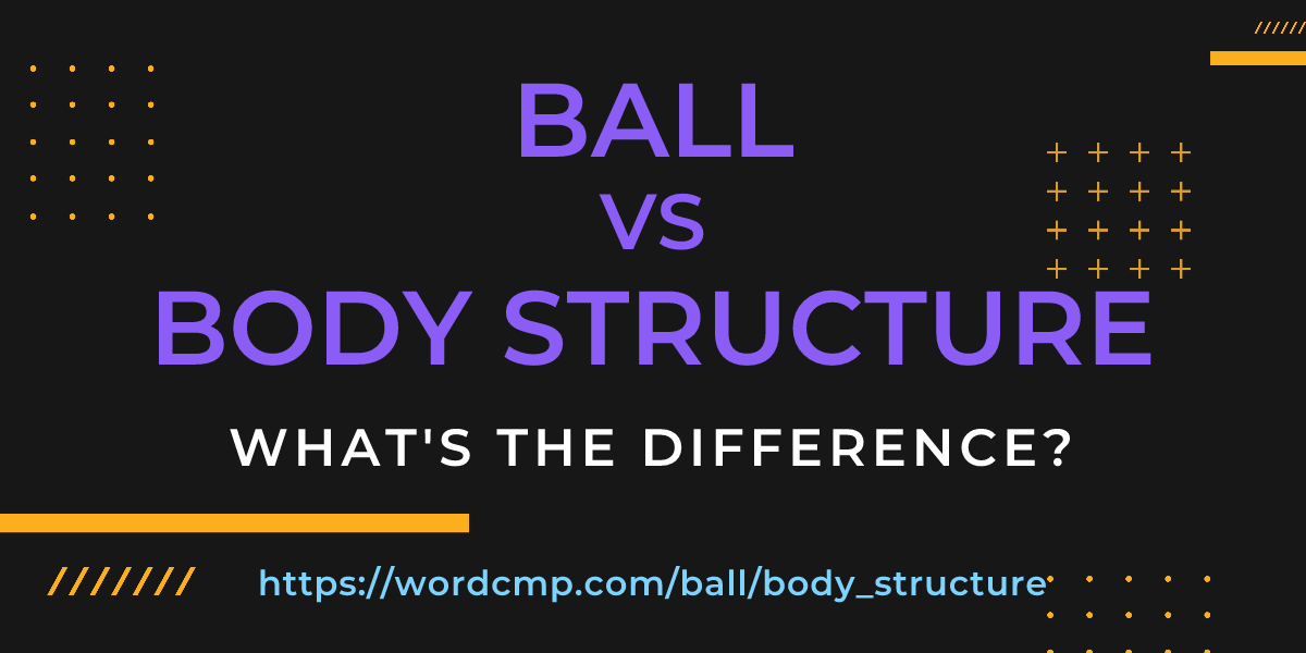 Difference between ball and body structure
