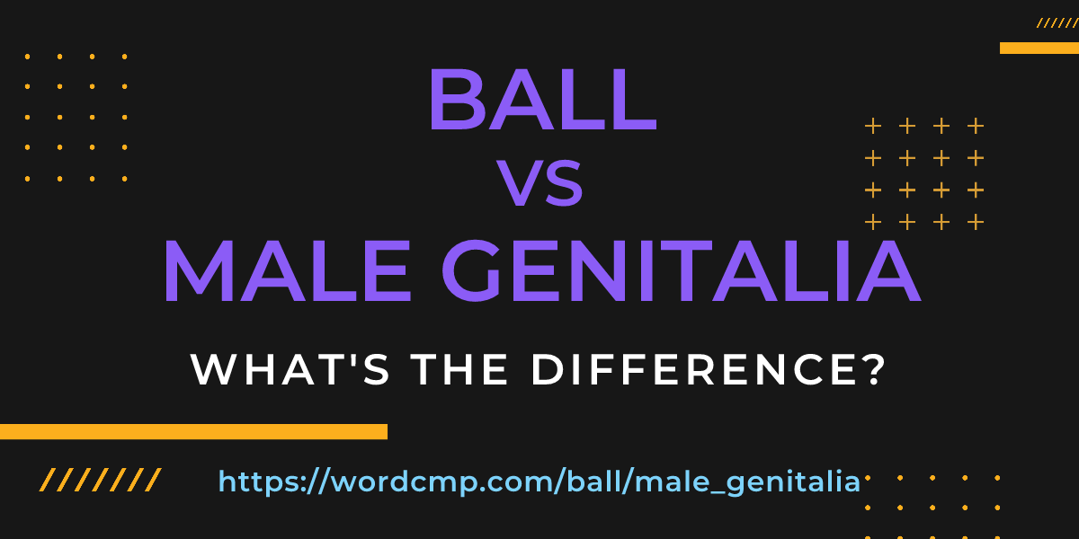 Difference between ball and male genitalia