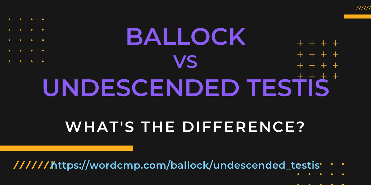 Difference between ballock and undescended testis