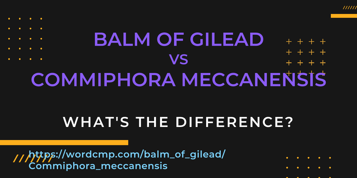 Difference between balm of gilead and Commiphora meccanensis