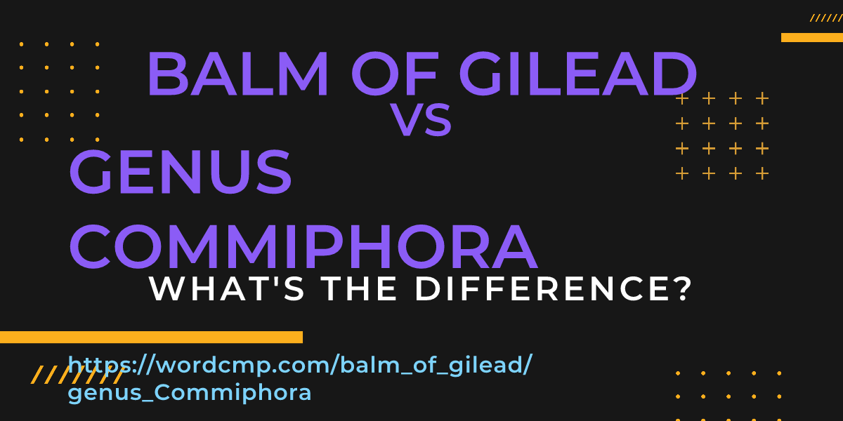 Difference between balm of gilead and genus Commiphora