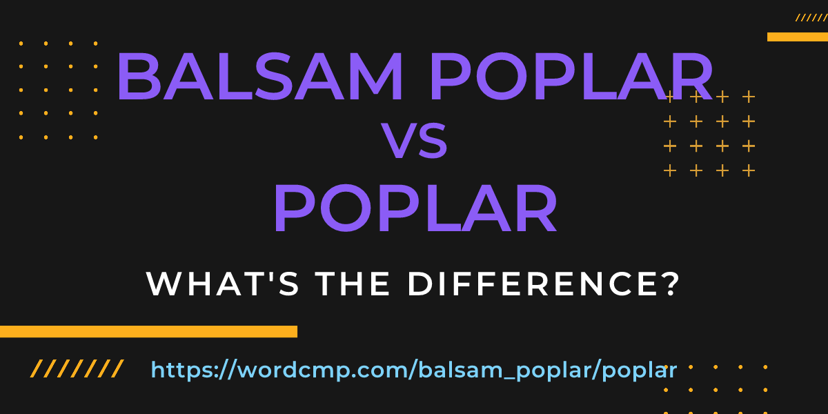 Difference between balsam poplar and poplar