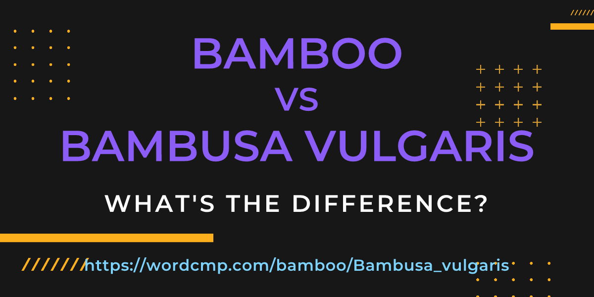 Difference between bamboo and Bambusa vulgaris