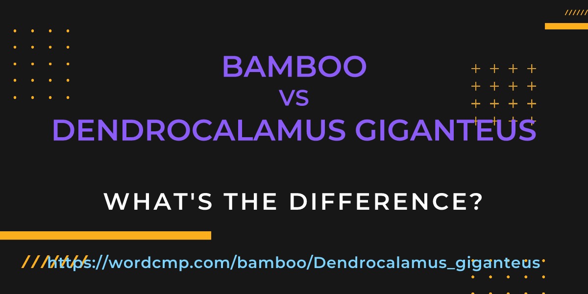 Difference between bamboo and Dendrocalamus giganteus