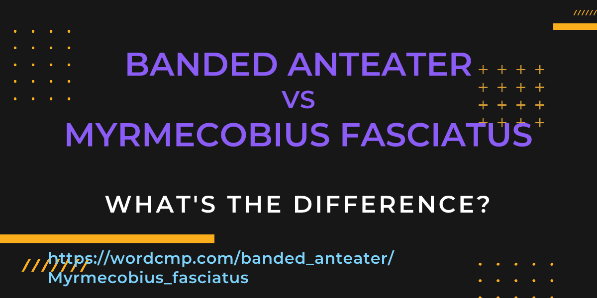 Difference between banded anteater and Myrmecobius fasciatus