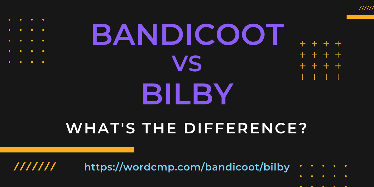 Difference between bandicoot and bilby
