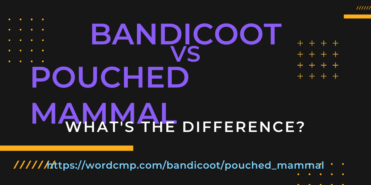 Difference between bandicoot and pouched mammal