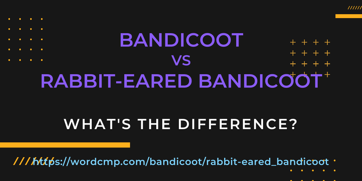 Difference between bandicoot and rabbit-eared bandicoot
