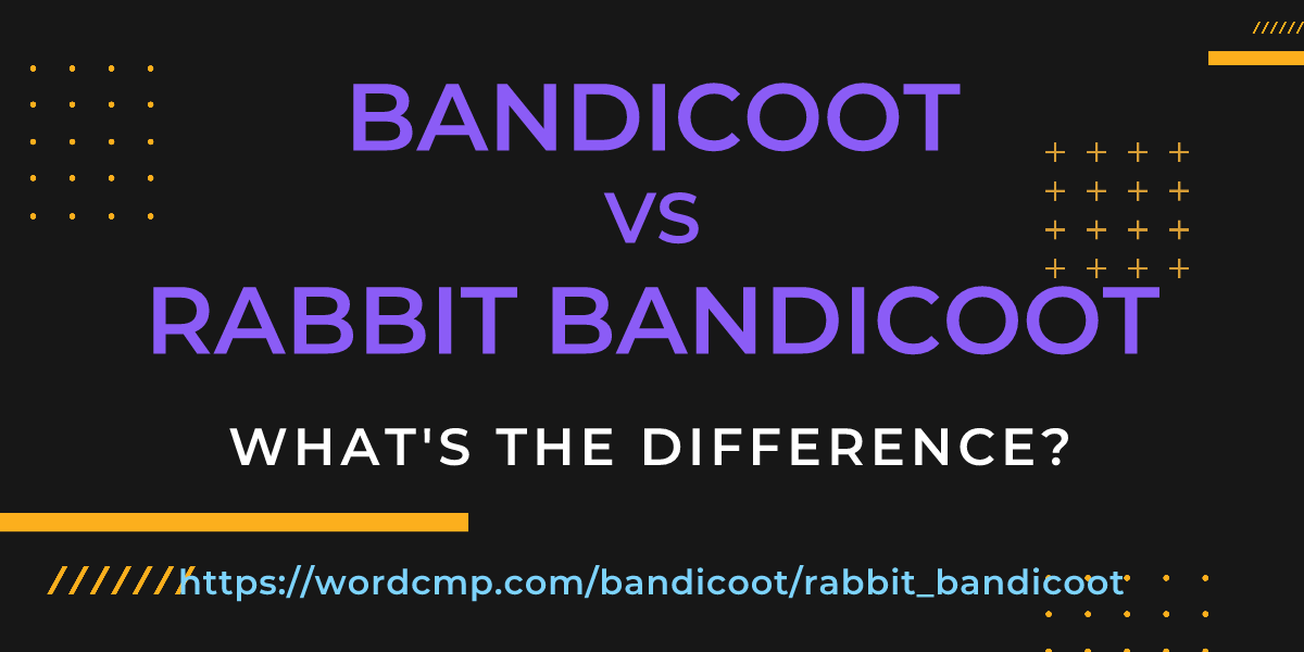 Difference between bandicoot and rabbit bandicoot