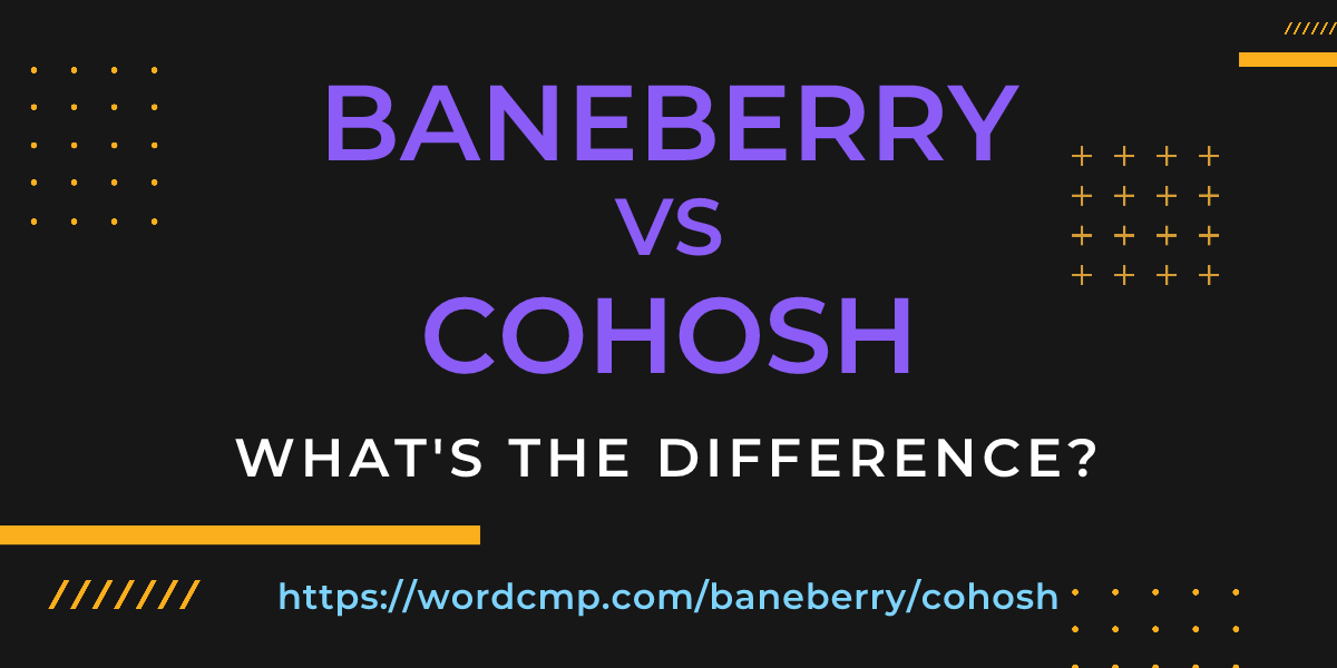 Difference between baneberry and cohosh