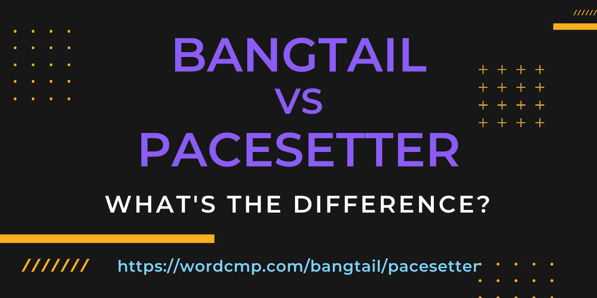 Difference between bangtail and pacesetter