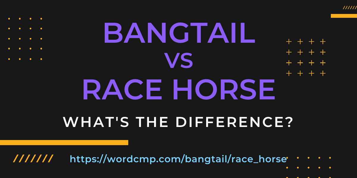 Difference between bangtail and race horse