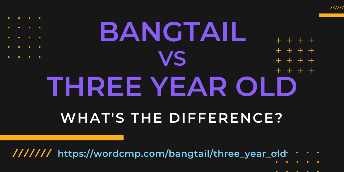 Difference between bangtail and three year old