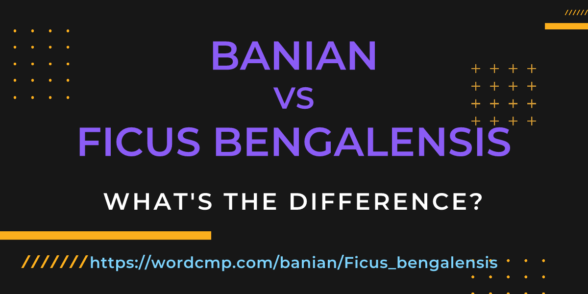 Difference between banian and Ficus bengalensis