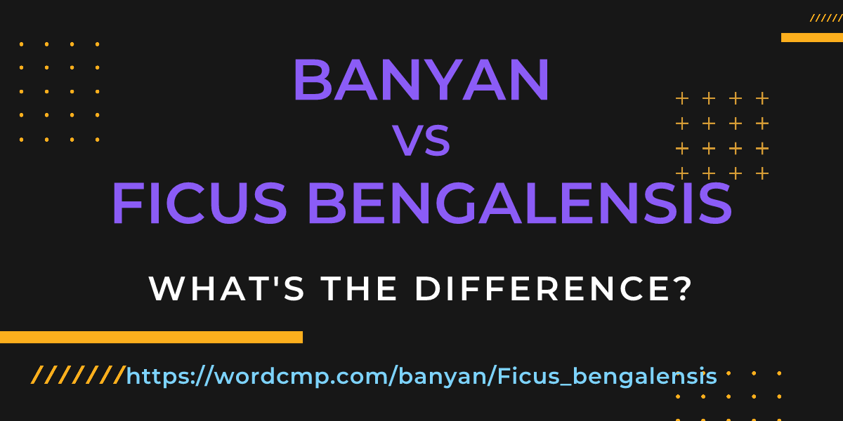 Difference between banyan and Ficus bengalensis