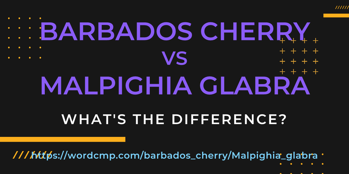 Difference between barbados cherry and Malpighia glabra