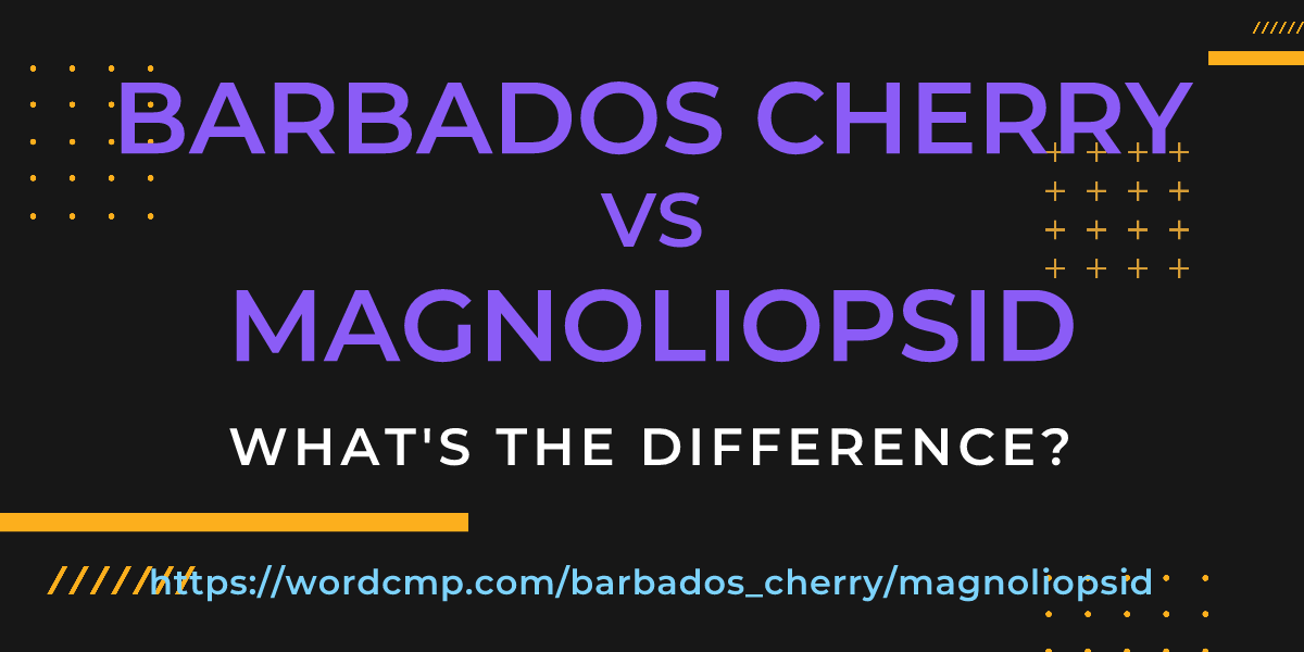 Difference between barbados cherry and magnoliopsid