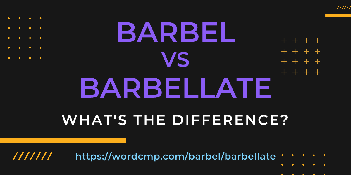 Difference between barbel and barbellate