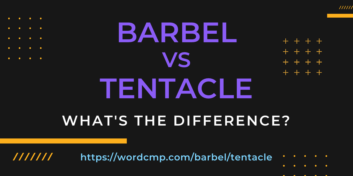Difference between barbel and tentacle