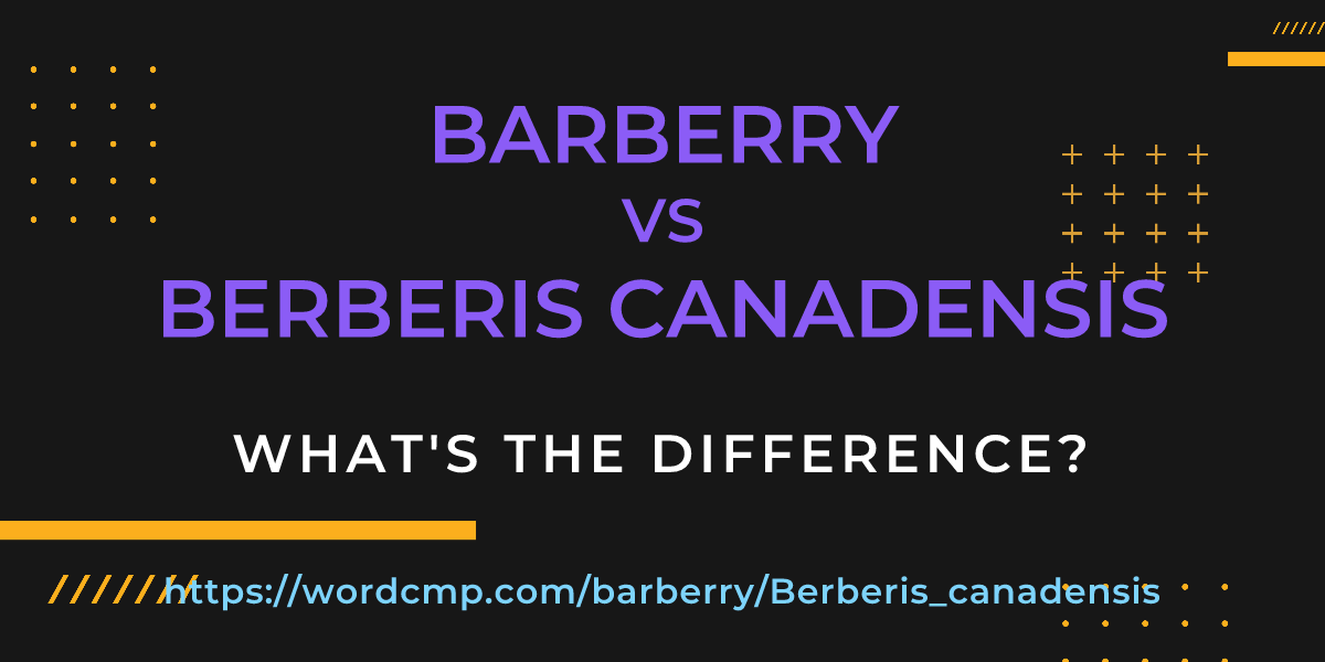 Difference between barberry and Berberis canadensis