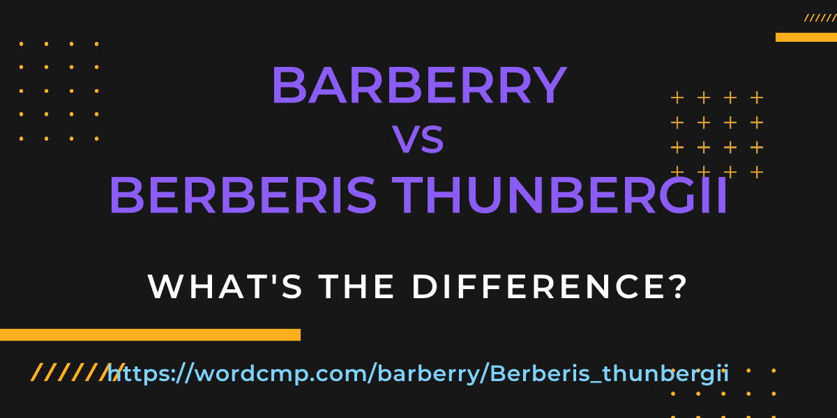 Difference between barberry and Berberis thunbergii