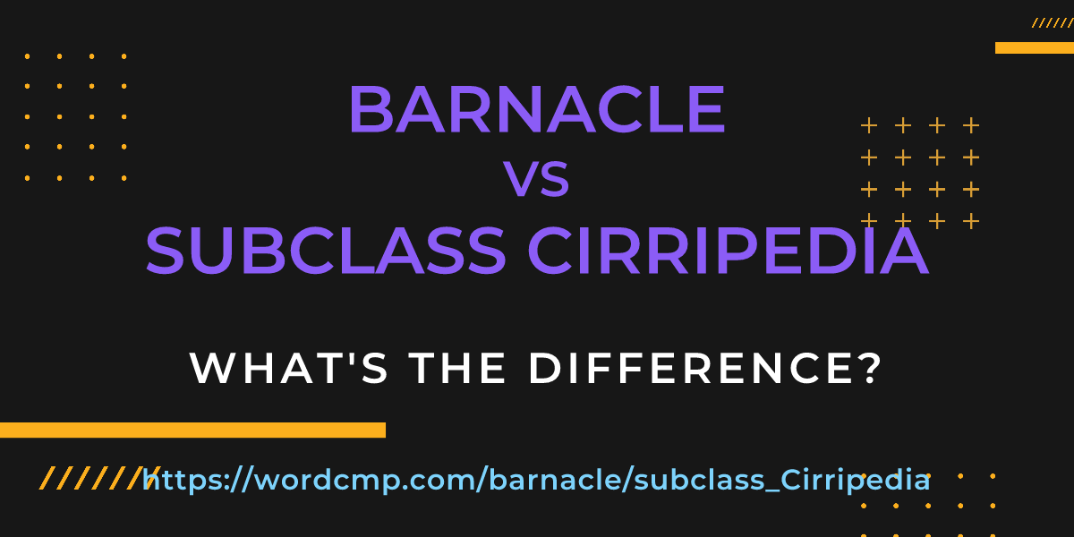 Difference between barnacle and subclass Cirripedia