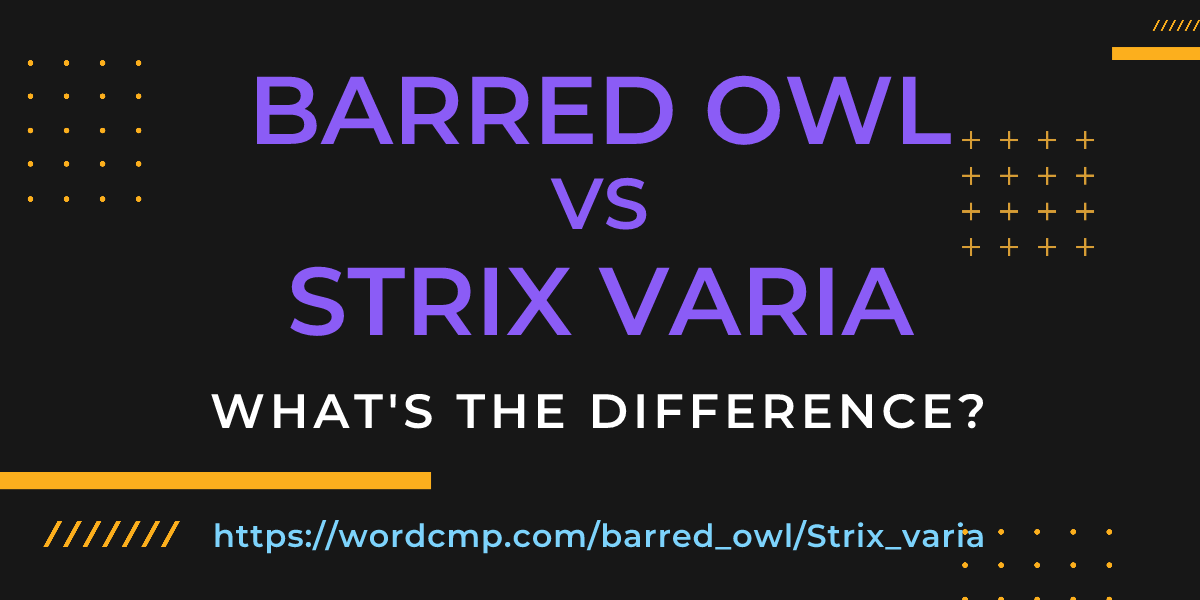 Difference between barred owl and Strix varia