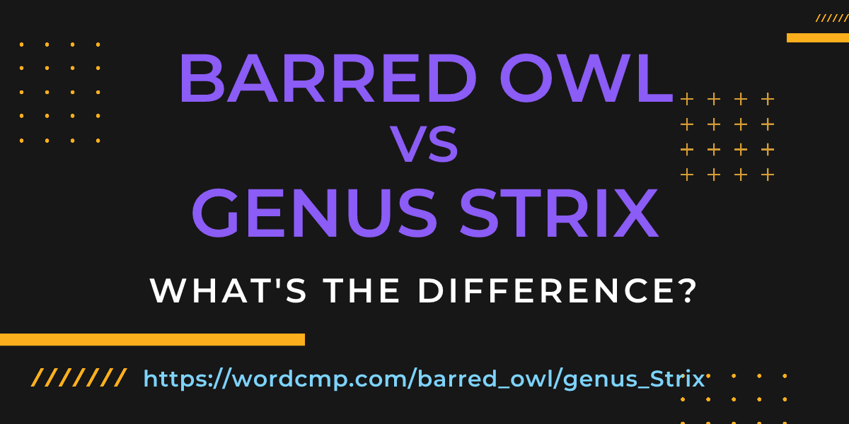 Difference between barred owl and genus Strix