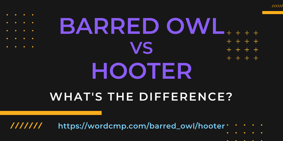 Difference between barred owl and hooter