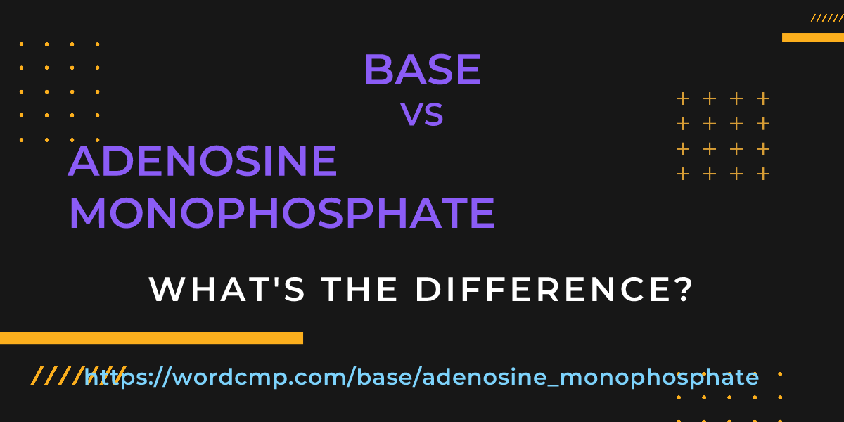 Difference between base and adenosine monophosphate