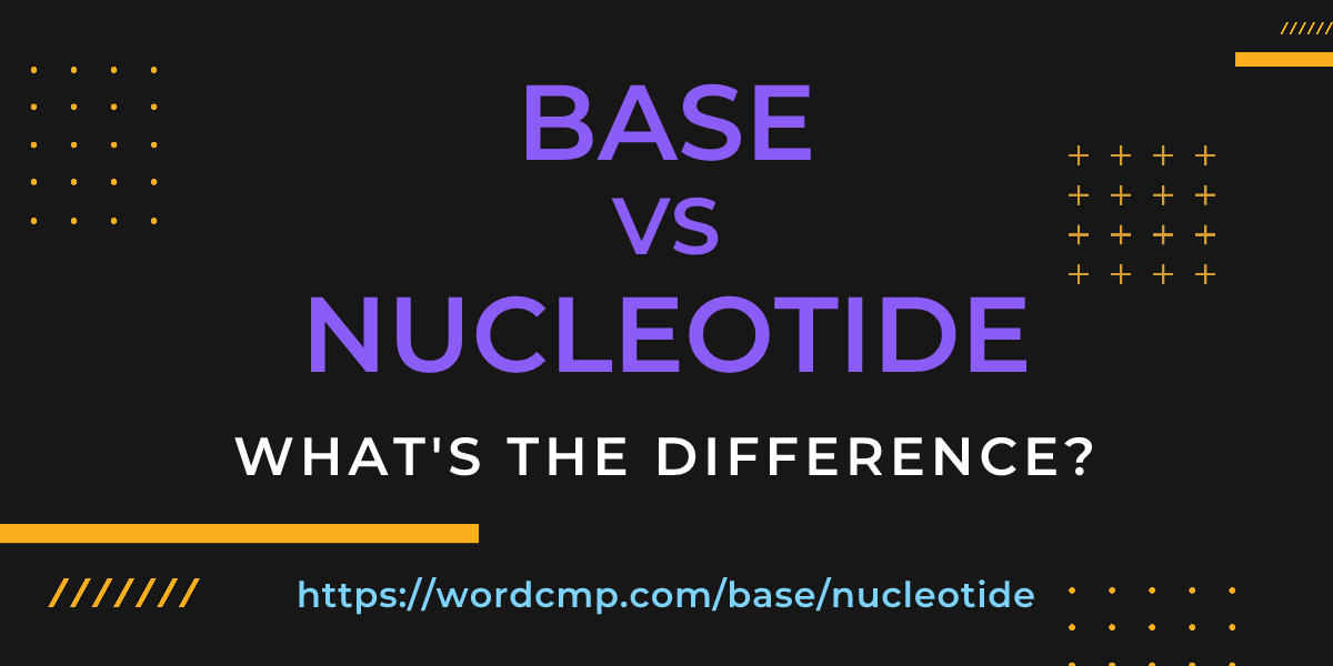 Difference between base and nucleotide