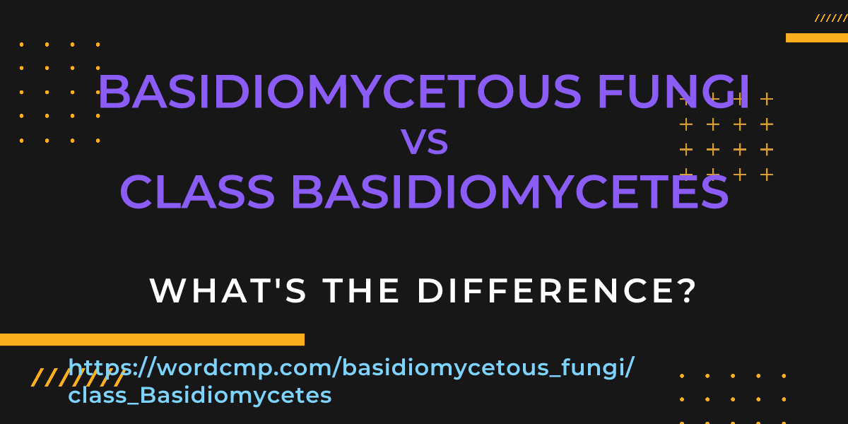 Difference between basidiomycetous fungi and class Basidiomycetes