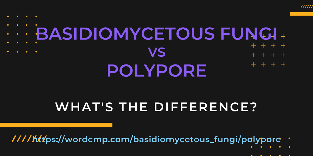 Difference between basidiomycetous fungi and polypore